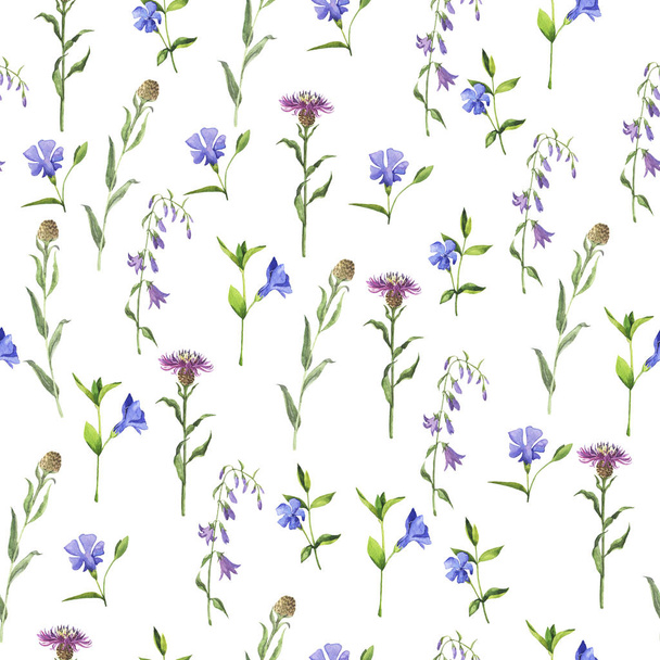 Seamless pattern with bellflowers and other summer plants on white background. Hand drawn watercolor illustration. - Zdjęcie, obraz