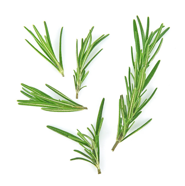 Top view of Rosemary isolated on white background - Photo, Image