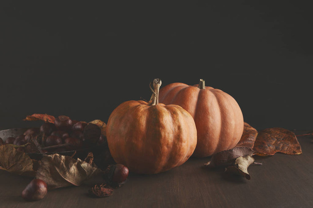 Beautiful pumpkins with leaves and chestnuts on black background - Fotografie, Obrázek