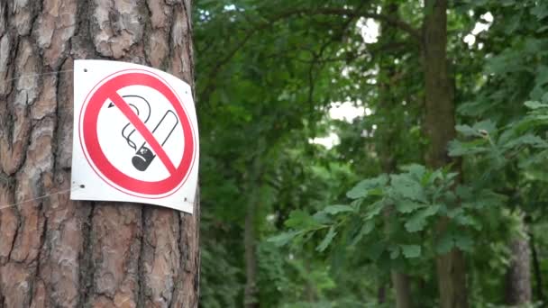 緑豊かなエリアで禁煙の標識 - 映像、動画