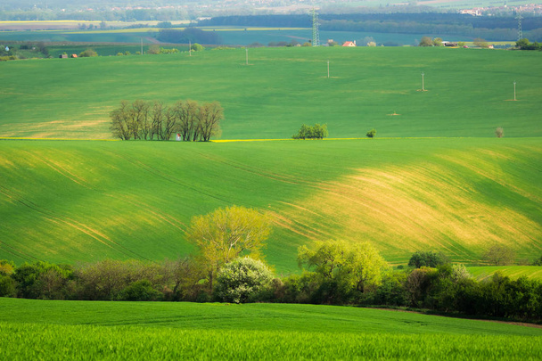 Bahar Strazovice, Çek Cumhuriyeti yakınındaki Moravyalı alanları - Fotoğraf, Görsel