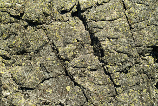 фон, текстура - потрескавшаяся морщинистая поверхность старой гранитной породы, покрытая пятнами лишайника
 - Фото, изображение