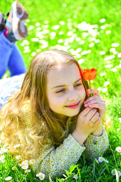 Tavaszi szünet koncepció. Gyermek élvezze tavaszi napsütésben, százszorszép virág a réten fekve. Lány a mosolygó arc tart piros tulipán virág, élvezze az aromája. Lány feküdt a füvön, a háttér grassplot - Fotó, kép