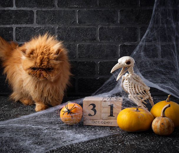 Halloween background with wooden calendar   - Photo, Image