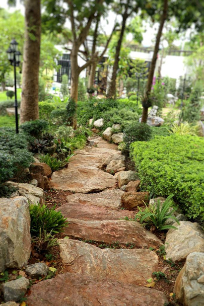 Каменная дорожка в саду
 - Фото, изображение