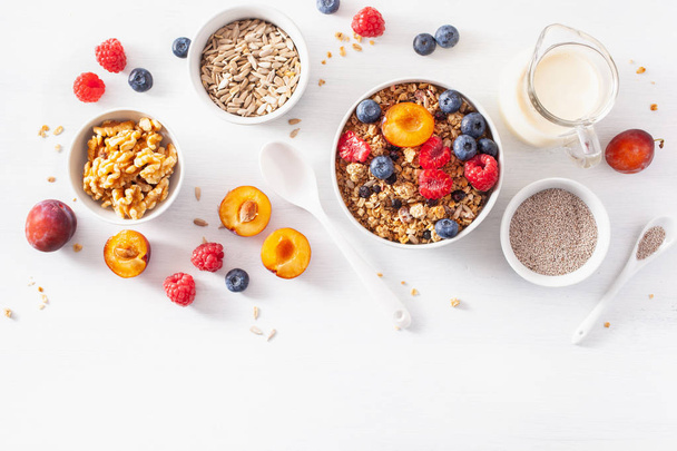 healthy granola for breakfast with berry fruit nut, vegan milk - Photo, Image
