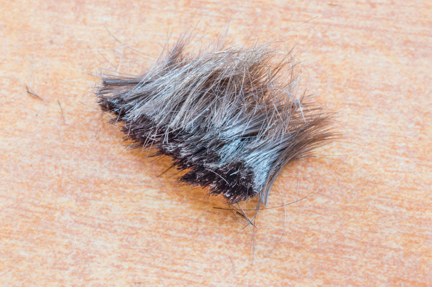 Recortes cortos de cabello humano
. - Foto, imagen