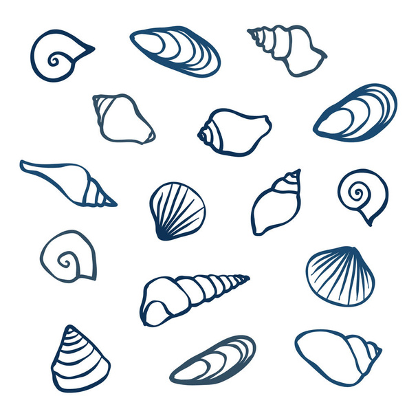 Set of hand drawn seashells - vector illustration - Вектор,изображение