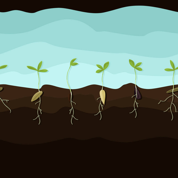Verschillende groeiende zaden - vectorillustratie - Vector, afbeelding