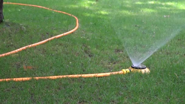 automatic watering system on green grass - Footage, Video