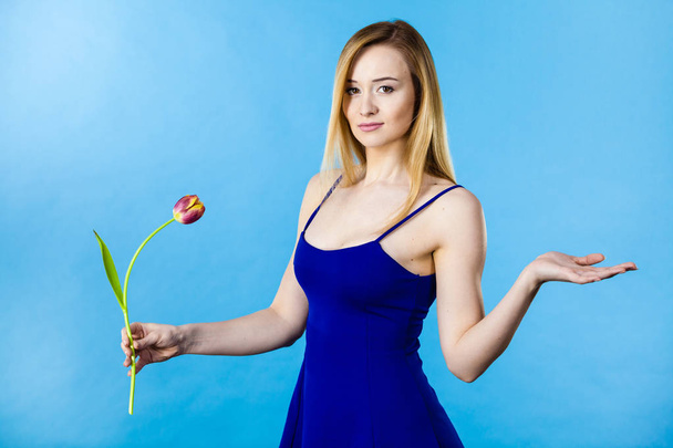 Prise de vue d'une femme tenant une tulipe romantique violette. Cadeau de la journée des femmes. Studio tourné sur fond bleu
. - Photo, image