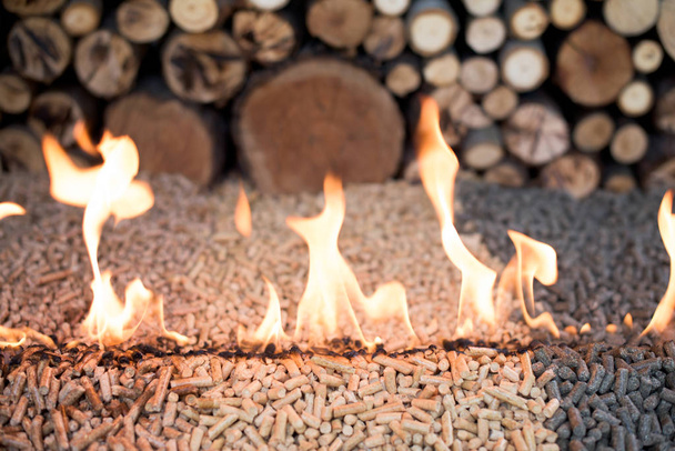Tipo de árbol de pellets en el fuego frente a la pila de madera
 - Foto, Imagen