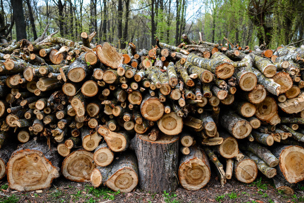 Скріплені дерев'яні колоди з соснами, фон
 - Фото, зображення