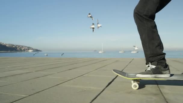 Zeitlupe in Großaufnahme: Unerkennbare Skateboarder, die an einem sonnigen Sommertag am Strand die Betonstraße entlang skateboarden und Möwen vertreiben. Skateboard-Deck und Räder drehen sich auf dem Bürgersteig - Filmmaterial, Video