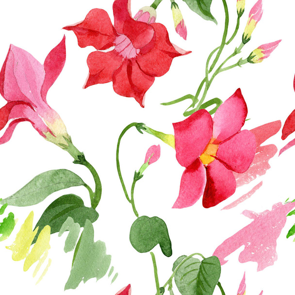 Akvarell piros dipladies virág. Virágos botanikai virág. Varratmentes háttérben minta. - Fotó, kép