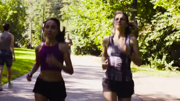 Dos mujeres corriendo en el parque en el día de verano
 - Metraje, vídeo