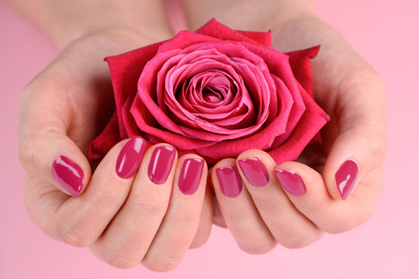 Hands holding a rosebud - Foto, afbeelding
