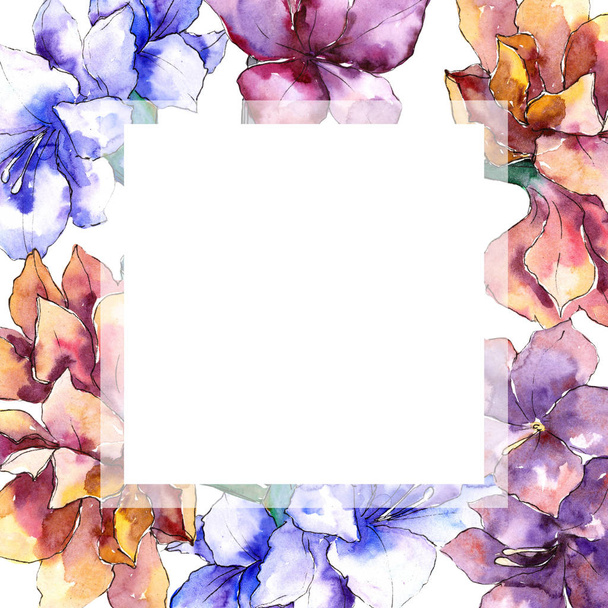 Watercolor purple amaryllis flower. Frame border ornament square. - Fotografie, Obrázek