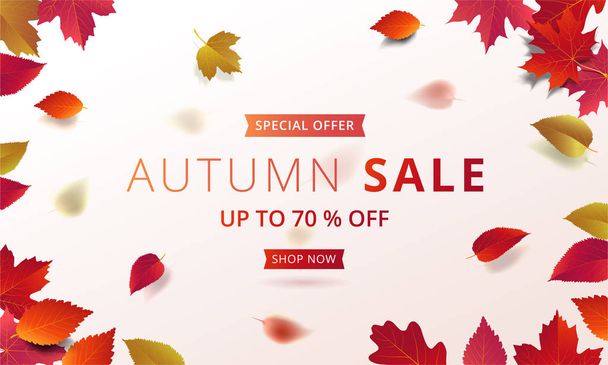 Autumn promotion banner layout template modern design decorate with maple and realistic leaves for discount poster, shopping sale, leaflet, promo flyer, and web banner. Vector illustration. - Vector, Imagen