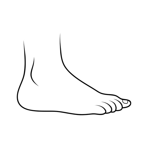 design de contorno de ícone de pé isolado no backgroun branco
 - Vetor, Imagem