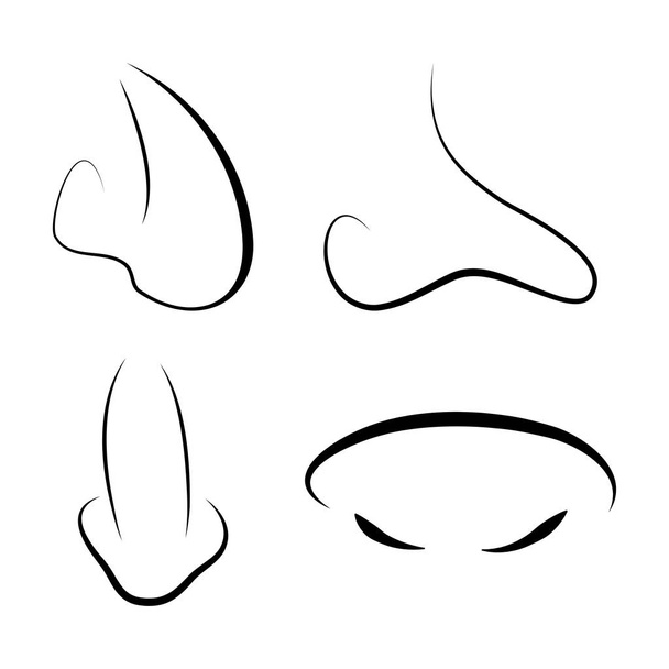 menselijke neus schets ontwerp geïsoleerd op een witte pagina - Vector, afbeelding