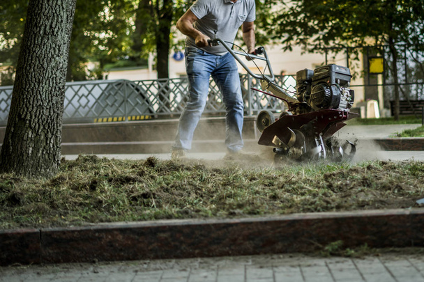 Grupa pracowników na ulicy uprawy gleby z traktor maszyny do sadzenia niektórych drzew w mieście - Zdjęcie, obraz