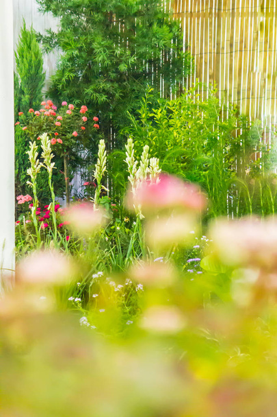 Bellezza e rilassante giardino con decorazione vaso di fiori in accogliente giardino di fiori di casa in estate
. - Foto, immagini