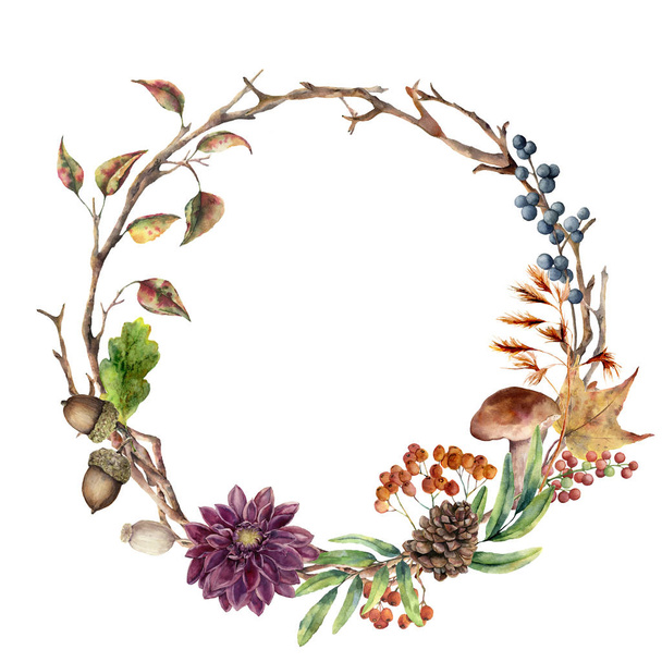 Watercolor autumn tree branch and flower wreath. Hand painted wreath with acorn, mushroom, cone, berries and leaves on white background. Illustration for design, fabric or background. - Photo, Image