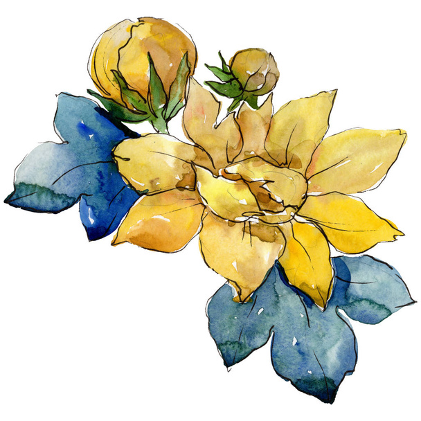 Ακουαρέλα κίτρινο μπουκέτο λουλούδια. Floral βοτανικό λουλούδι. Απομονωμένη εικονογράφηση στοιχείο. - Φωτογραφία, εικόνα
