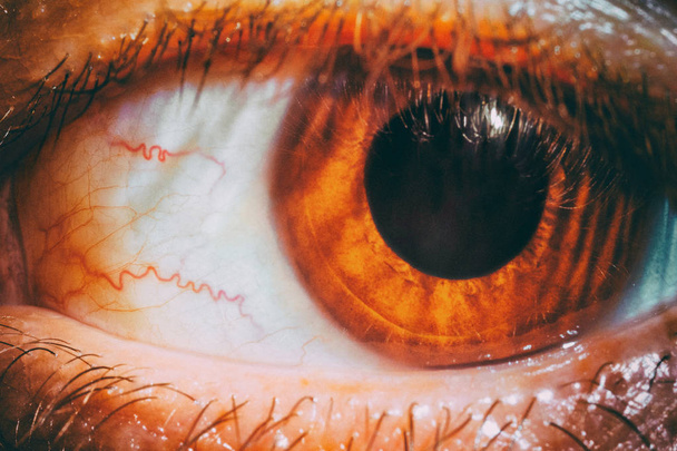 Eye with red blood vessels. - Zdjęcie, obraz