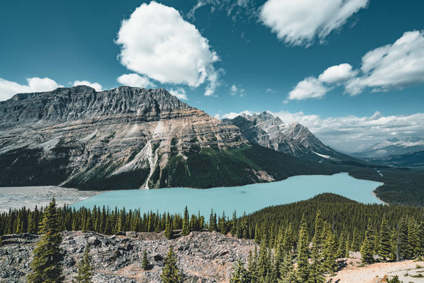 View over Peyto Lake, Banff National Park Canada - 写真・画像