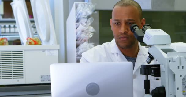 Scientist looking through microscope while using laptop in laboratory 4k - Imágenes, Vídeo
