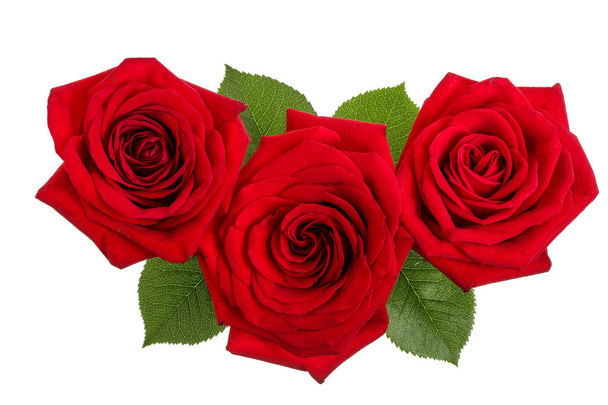 kaunis punainen ruusu eristetty valkoisella taustalla - Valokuva, kuva