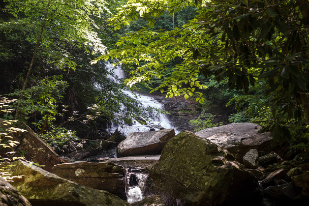 Beautiful high waterfall among the forest in summer. Waterfall and Botanical Preserve Pearson's Falls, Saluda, NC, USA - Фото, зображення