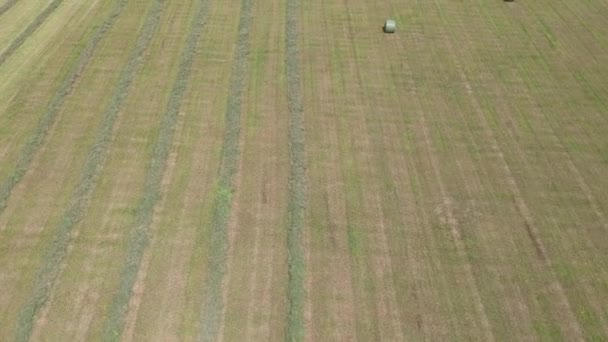 Vista Arial de un campo de agricultores en un día de verano
 - Metraje, vídeo