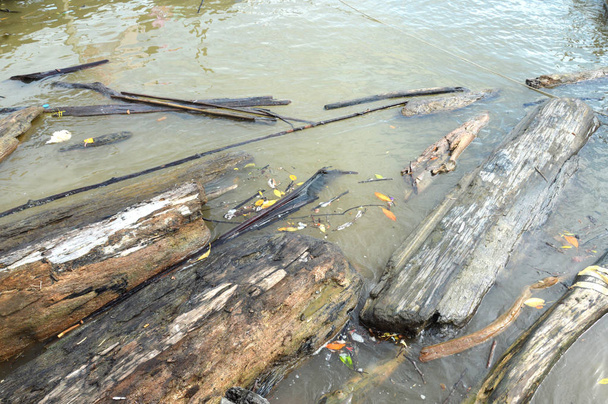 residuos de troncos en el mar
 - Foto, Imagen