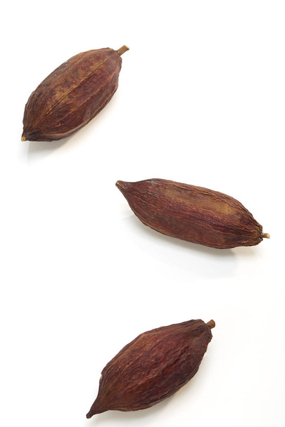 drei frische Kakaoschoten isoliert auf weißem Hintergrund - Foto, Bild