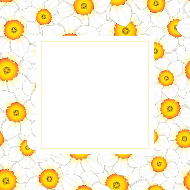 White Daffodil - Narcissus Flower Banner Card Border. Vector Illustration. - Vector, afbeelding