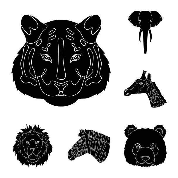 Wild animal black icons in set collection for design. Mammal and bird vector symbol stock web illustration. - Vektor, kép