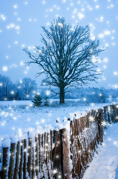 Hermoso invierno escénico
 - Foto, Imagen