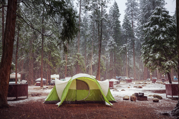 Güzel erken Bahar manzaraları Yosemite Milli Parkı'nda, Yosemite, ABD - Fotoğraf, Görsel