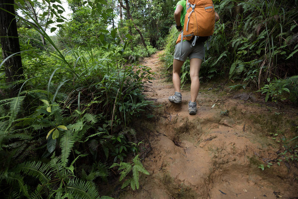 backpacking woman hiking on trail in rainforest - Фото, изображение