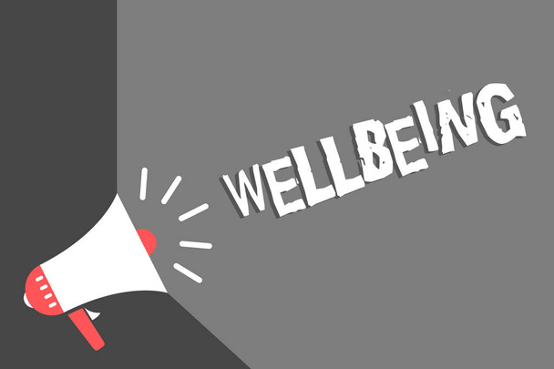 Text sign showing Wellbeing. Conceptual photo A good or satisfactory condition of existence including health Megaphone loudspeaker gray background important message speaking loud - Photo, Image