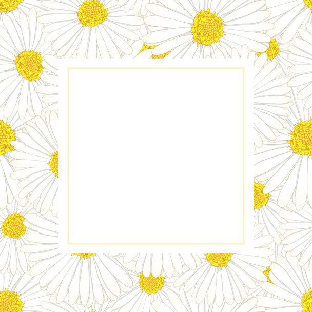 White Aster, Daisy Flower Banner Card. Vector Illustration. - ベクター画像