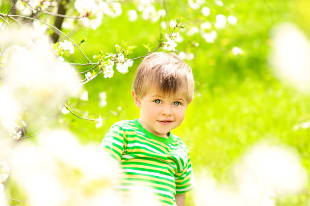 Arka plan bahar bahçe ve yeşil ot içinde çiçekli ağaç üzerinde küçük çocuk - Fotoğraf, Görsel