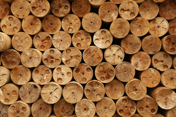 Estes são troncos de madeira - Foto, Imagem