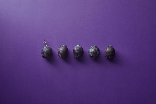 Draufsicht auf eine Reihe von Pflaumen auf violetter Oberfläche - Foto, Bild