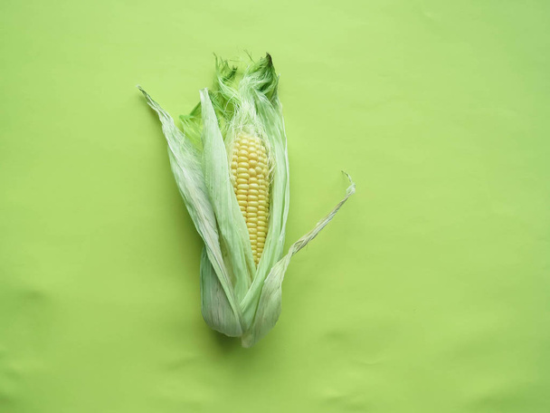 ripe natural corn cobs. healthy eating. eco-friendly products. Organic Food. Style Top View - 写真・画像