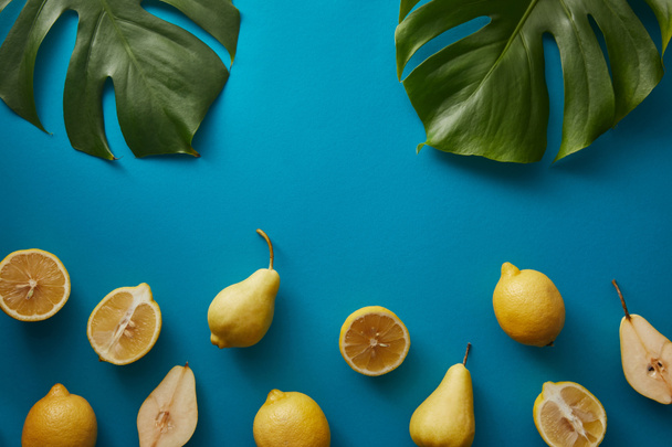 vista superior de hojas de palmera, peras y limones sobre la superficie azul
 - Foto, Imagen