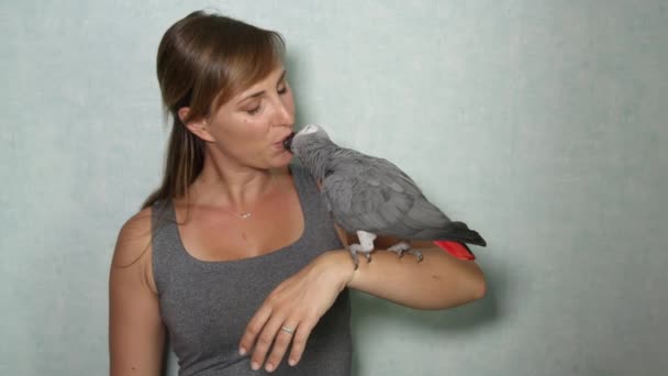 Zpomalený pohyb, Close Up: Naughty roztomilý Papoušek šedý sedí na ruce mladé ženy, mluví, giving polibky na rtech. Milující šťastné ženské majitel s úsměvem a hladí ostré nebezpečné zobáku - Záběry, video